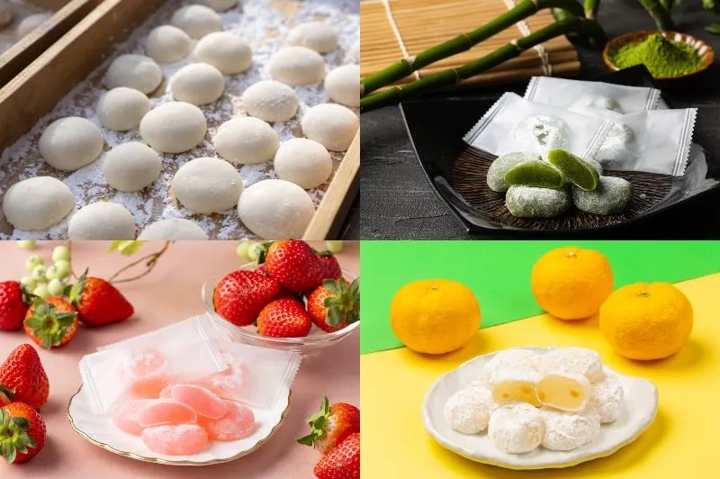 Looking for a Mochi Wholesaler? Explore Our Product Lineup and